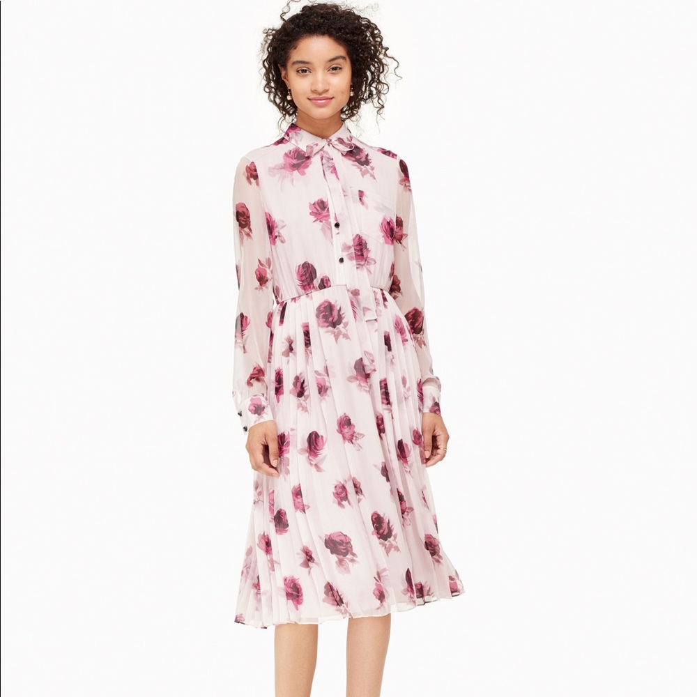Kate spade encore rose chiffon dress
